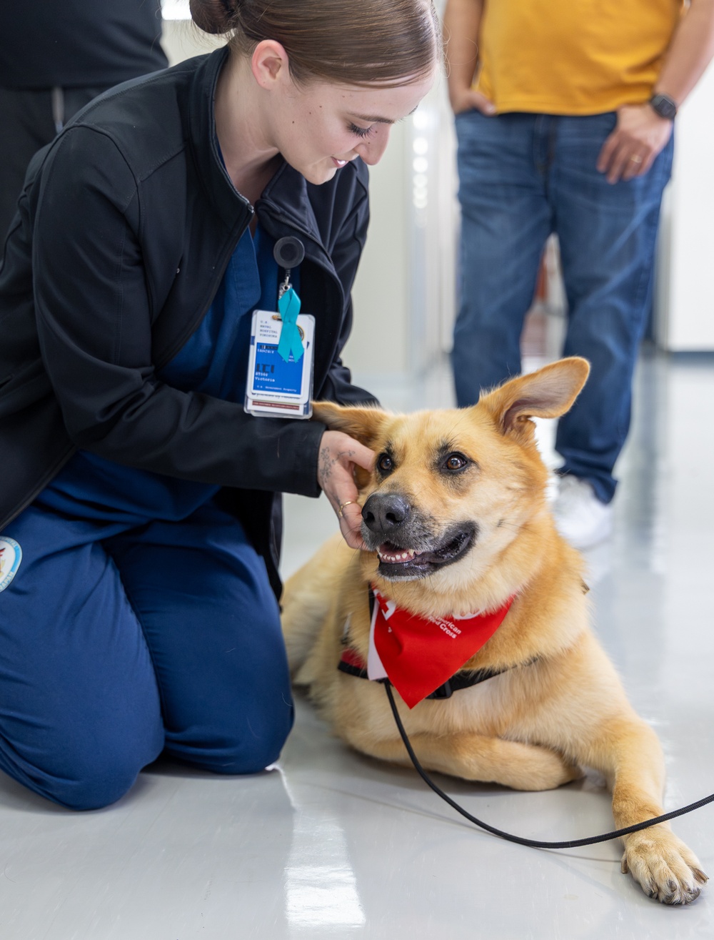 American Red Cross Therapy Dogs visit to USNMRTC Yokosuka