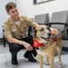 American Red Cross Therapy Dogs visit to USNMRTC Yokosuka