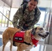 American Red Cross Therapy Dogs visit to USNMRTC Yokosuka