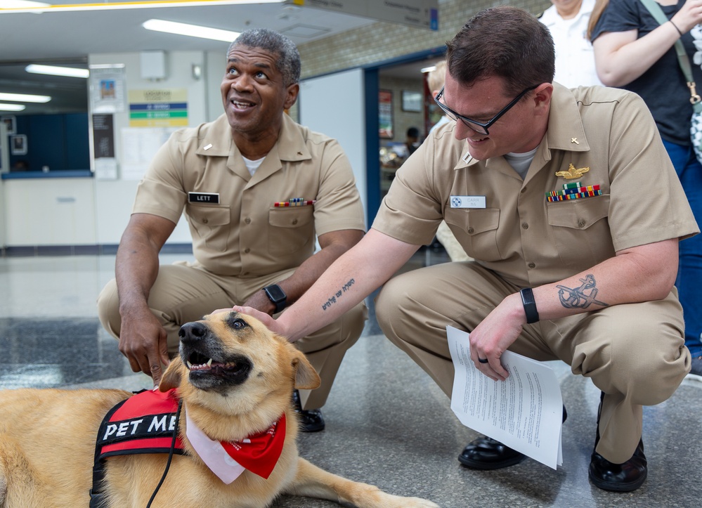 American Red Cross Therapy Dogs visit to USNMRTC Yokosuka