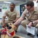 American Red Cross Therapy Dogs visit to USNMRTC Yokosuka