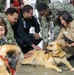 American Red Cross Therapy Dogs visit to USNMRTC Yokosuka