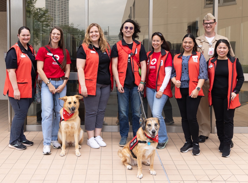 American Red Cross Therapy Dogs visit to USNMRTC Yokosuka
