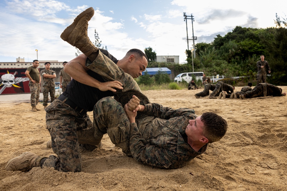 4th Marine Regiment Lance Corporal Seminar 3-25 | MCMAP Physical Training