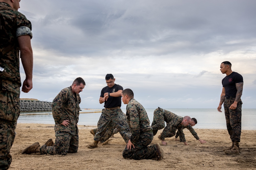 4th Marine Regiment Lance Corporal Seminar 3-25 | MCMAP Physical Training