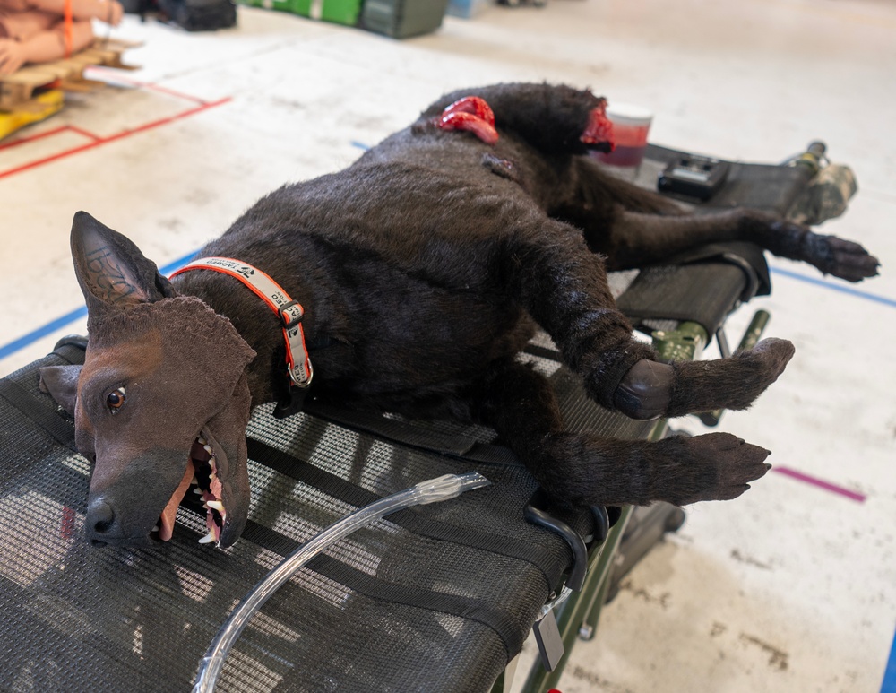 133rd Medical Group Canine Training