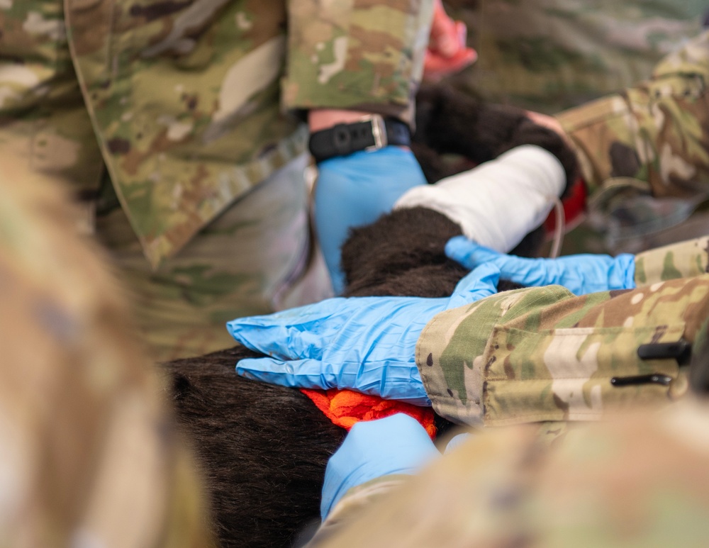 133rd Medical Group Canine Training