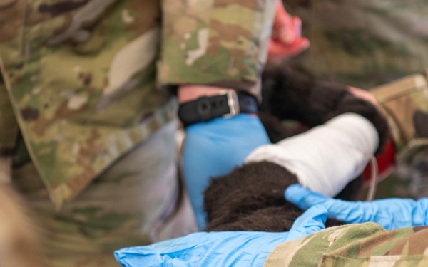 133rd Medical Group Canine Training