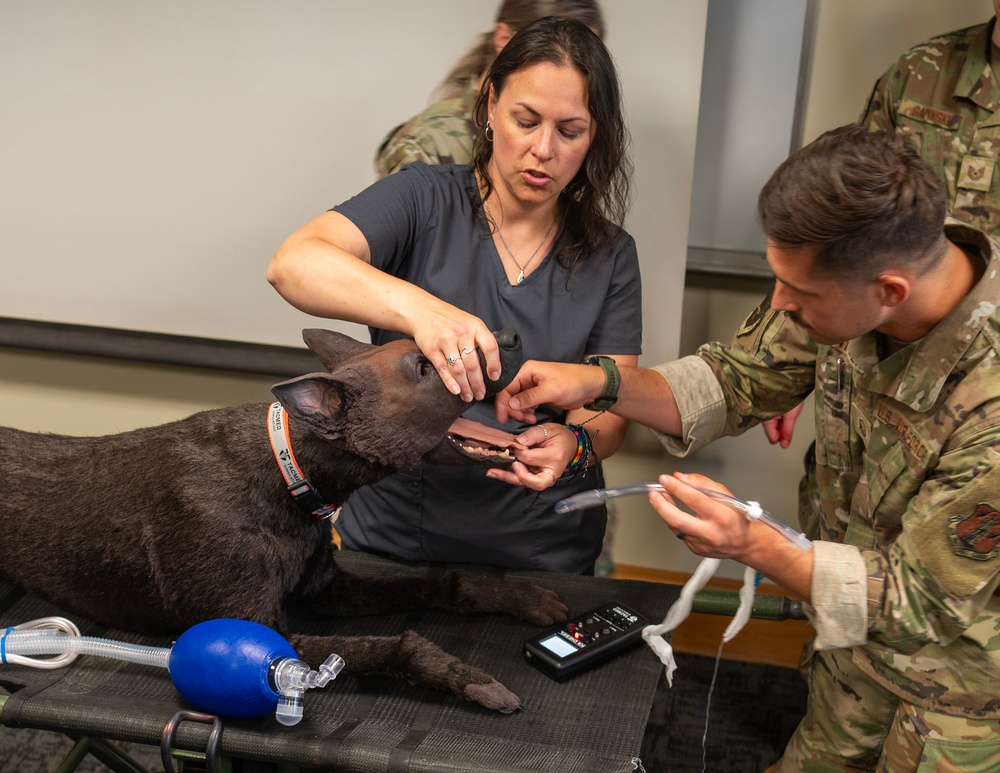133rd Medical Group Canine Training
