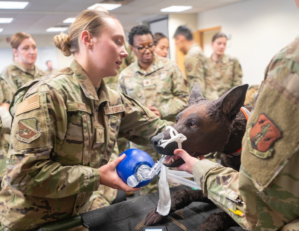 133rd Medical Group Canine Training