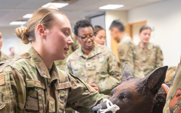 133rd Medical Group Canine Training