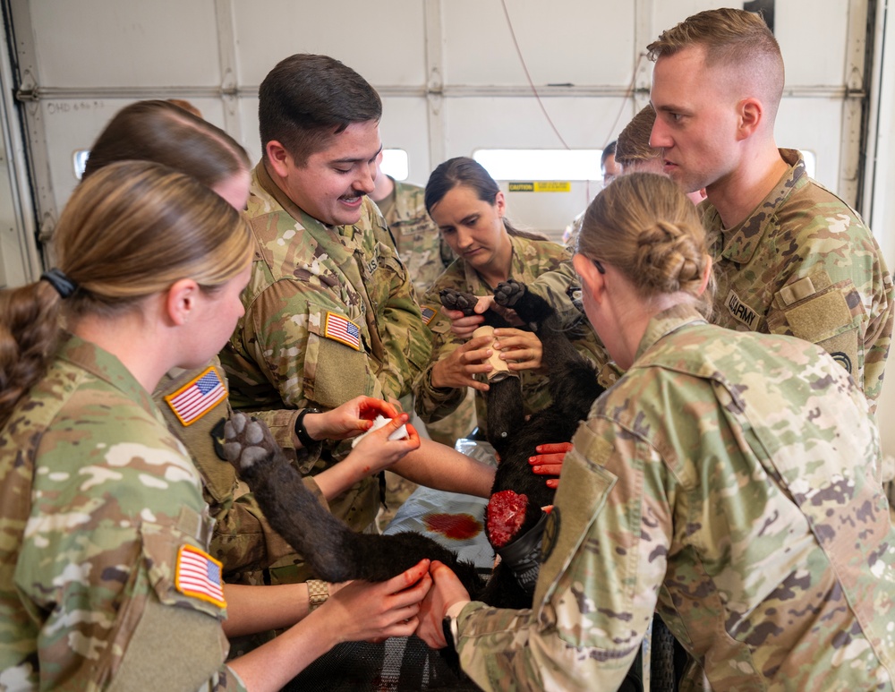 133rd Medical Group Canine Training