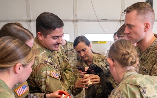 133rd Medical Group Canine Training