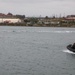 U.S. Marines, Indonesian Korps Marinir participate in amphibious training