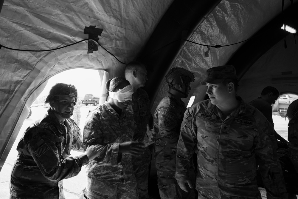 NY Air, Army National Guard medical training