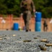 U.S. Service Members Compete in the 64th Annual Inter-Service Rifle Competition at MCB Quantico