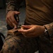 U.S. Service Members Compete in the 64th Annual Inter-Service Rifle Competition at MCB Quantico