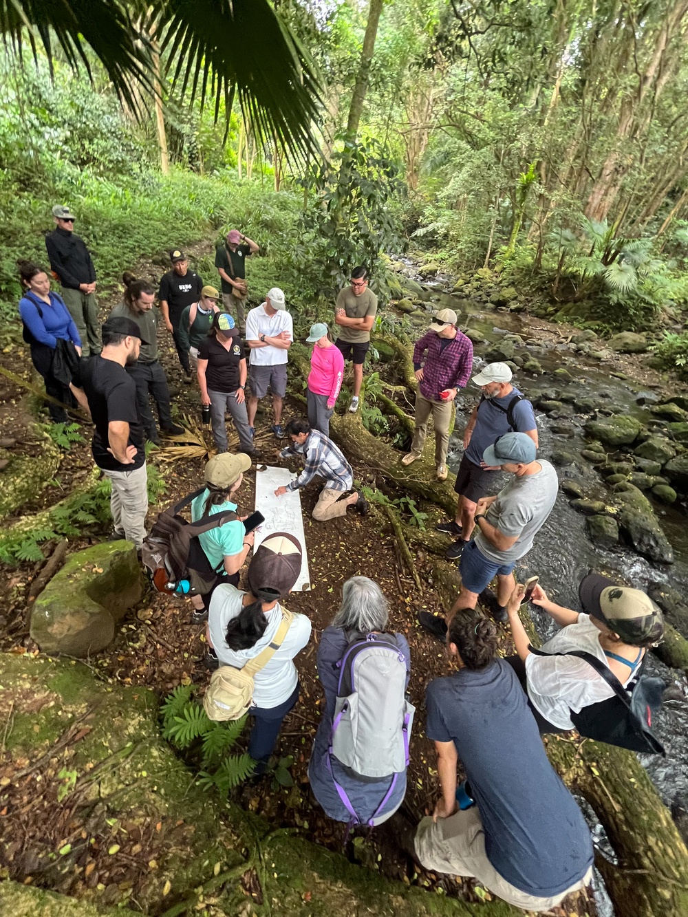 Marine Corps and Conservation Partners Unite to Protect Maunawili Forest and Lo’i