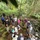 Marine Corps and Conservation Partners Unite to Protect Maunawili Forest and Lo’i