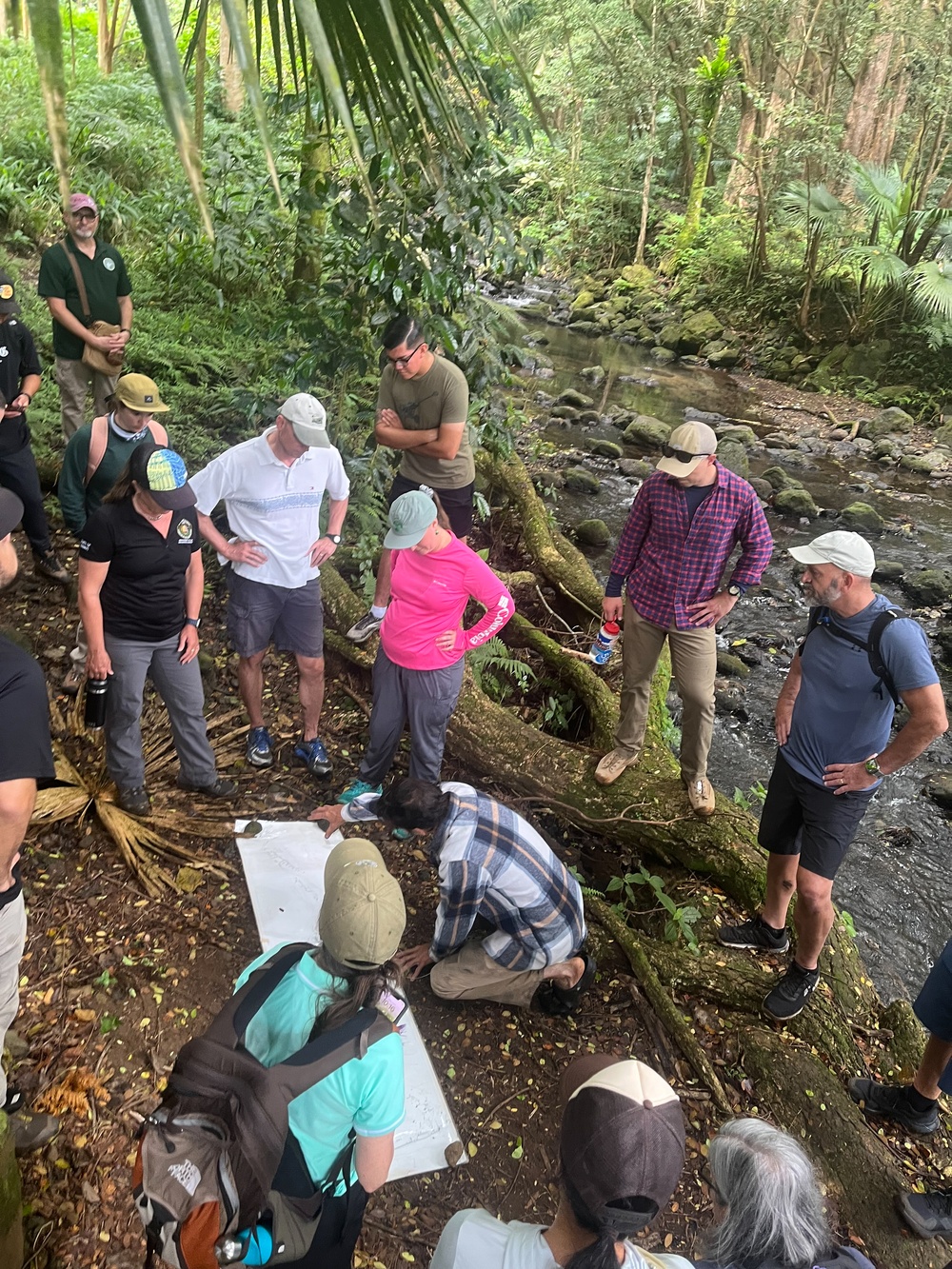 Marine Corps and Conservation Partners Unite to Protect Maunawili Forest and Lo’i