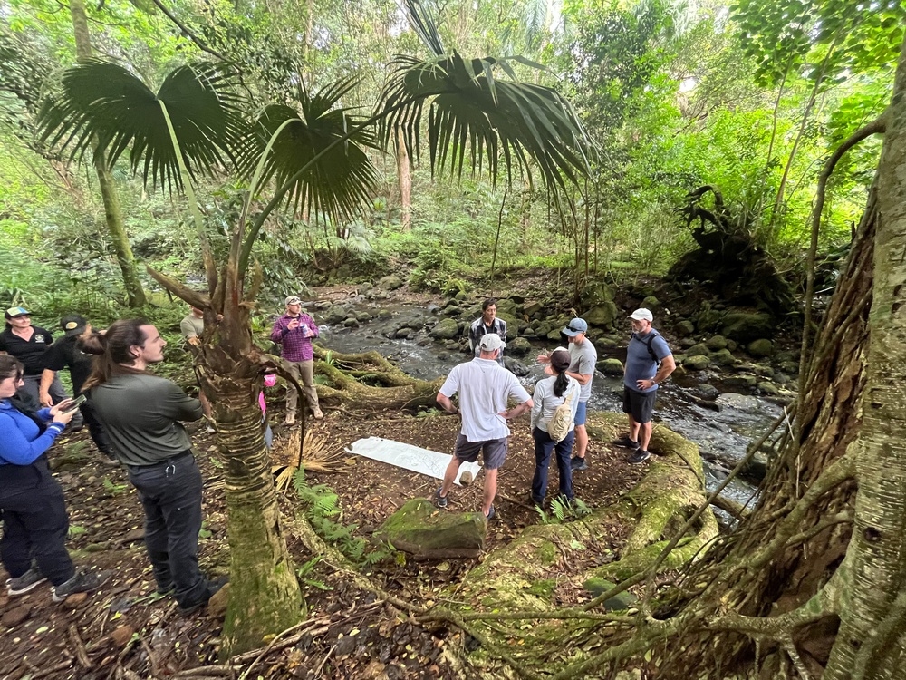 Marine Corps and Conservation Partners Unite to Protect Maunawili Forest and Lo’i