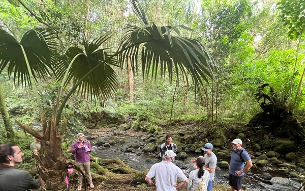 Marine Corps and Conservation Partners Unite to Protect Maunawili Forest and Lo’i