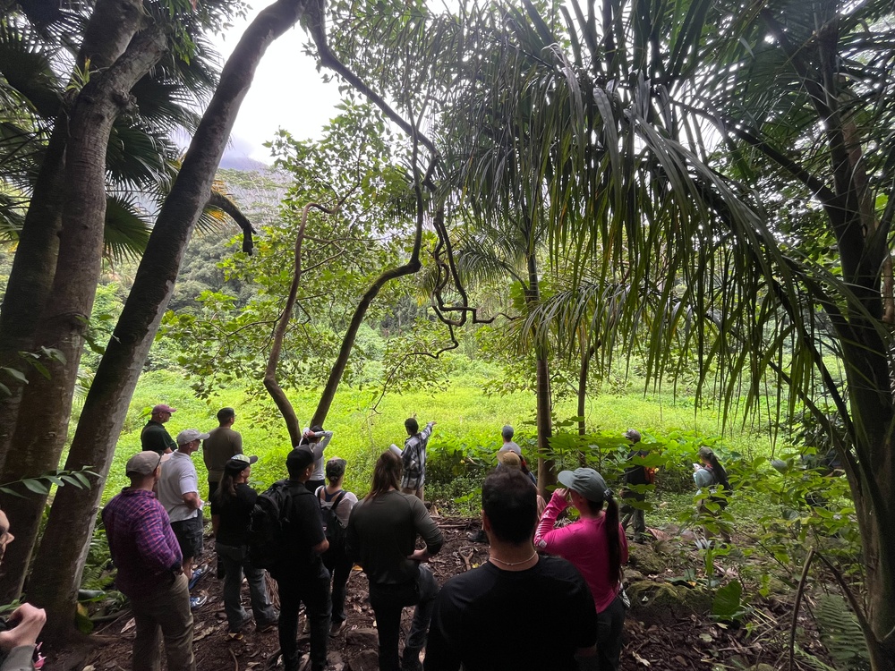 Marine Corps and Conservation Partners Unite to Protect Maunawili Forest and Lo’i