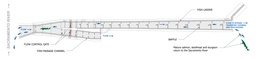 Overhead View Shows Fish Passage Layout