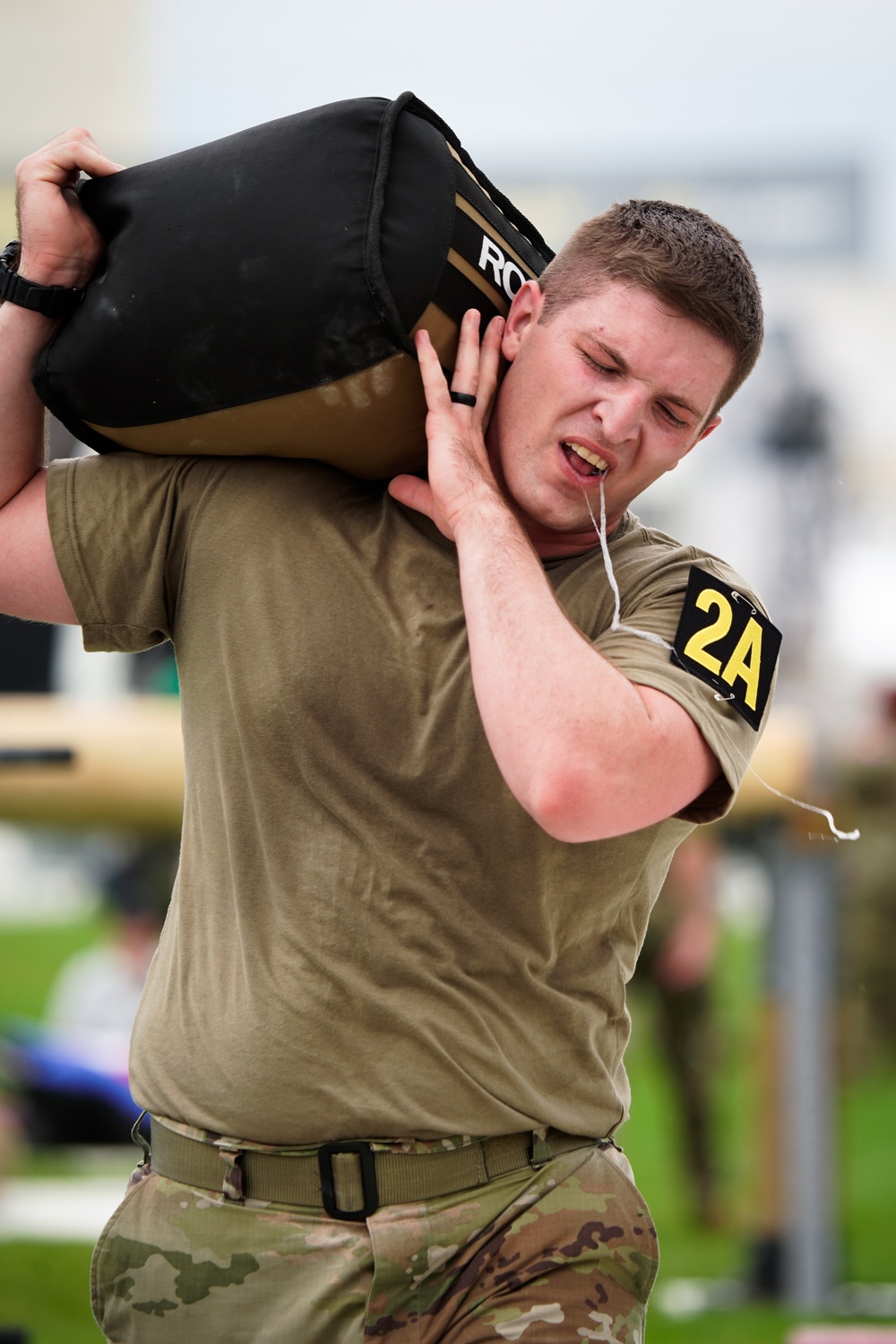 Army 250th Birthday