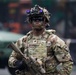 Army 250th Birthday