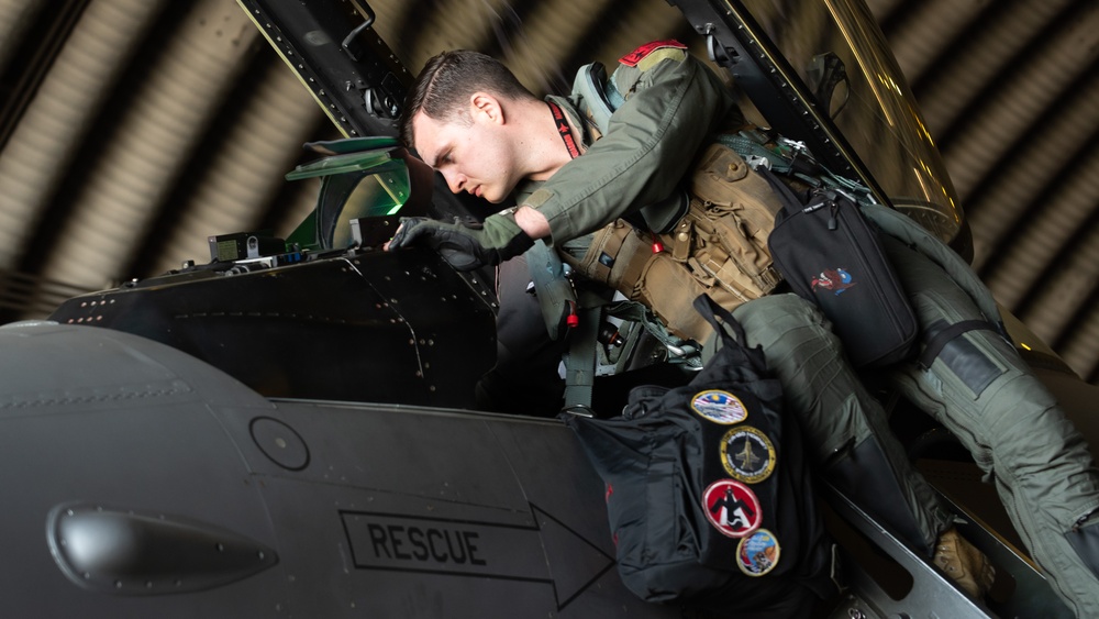 USAF 36th FS, ROKAF 202nd FS team up for Buddy Squadron