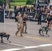 Army’s 250th Birthday Parade Pass in Review