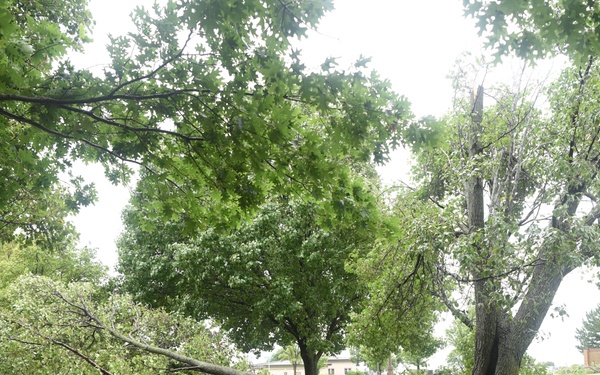 Storm damage at McConnell Air Force Base