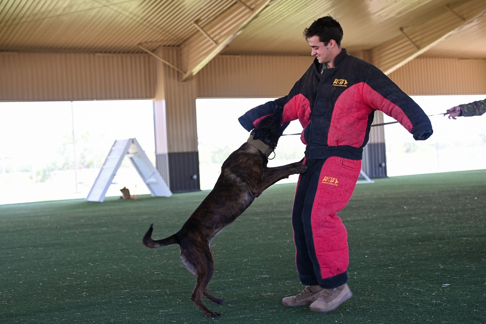 Forging Future Leaders: USAFA Cadet Integration into the 17th Training Wing