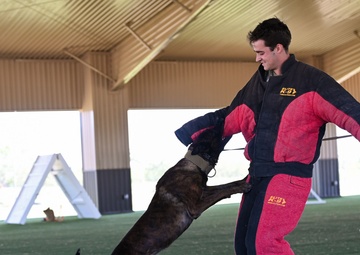 Forging Future Leaders: USAFA Cadet Integration into the 17th Training Wing