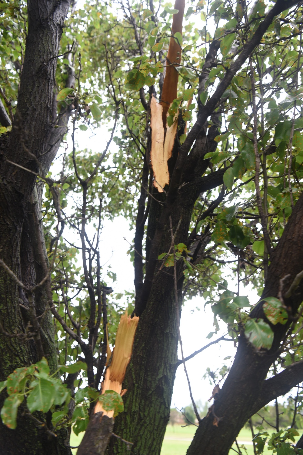 Storm damage at McConnell Air Force Base