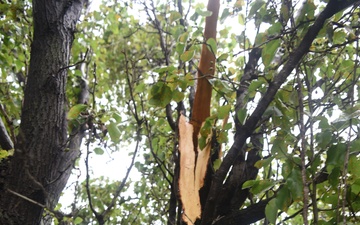 Storm damage at McConnell Air Force Base