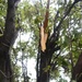 Storm damage at McConnell Air Force Base