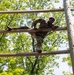 Cadets build poise through adversity on CFT confidence courses