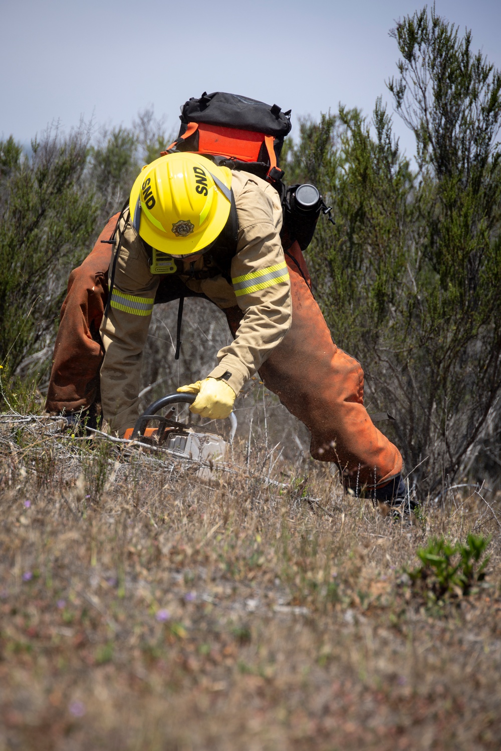 San Diego Firefighter Recruits conduct wildland firefighting training on MCAS San Diego Firefighter Recruits conduct wildland firefighting training on MCAS Miramar