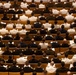 2025 NCC Graduation