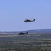 1st Air Cavalry Brigade conducts Joint Live Fire Exercise
