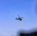 1st Air Cavalry Brigade conducts Joint Live Fire Exercise