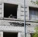 BALTOPS 25 - 2d LAR Marines Execute Force on Force Training