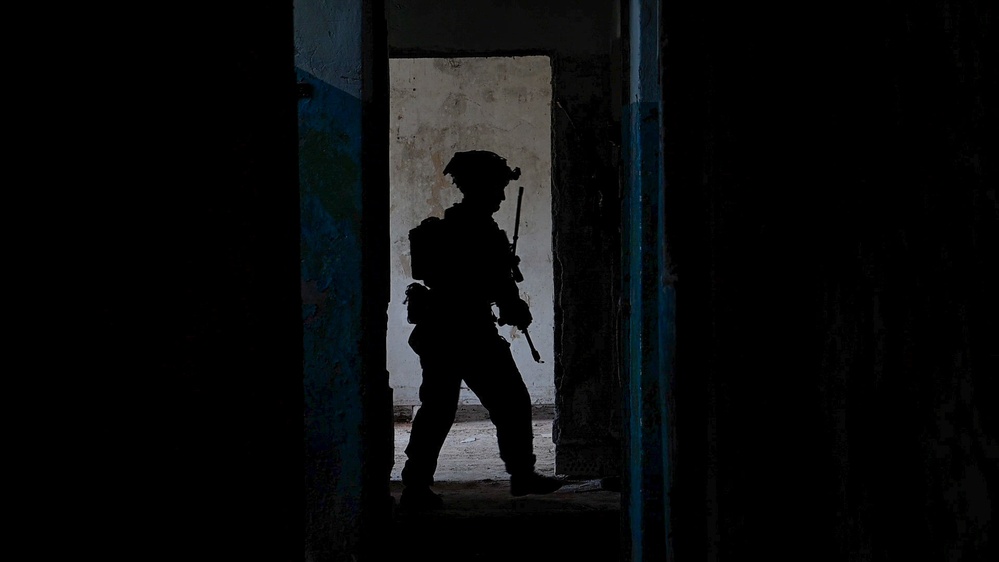 BALTOPS 25 - 2d LAR Marines Execute Force on Force Training