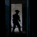 BALTOPS 25 - 2d LAR Marines Execute Force on Force Training