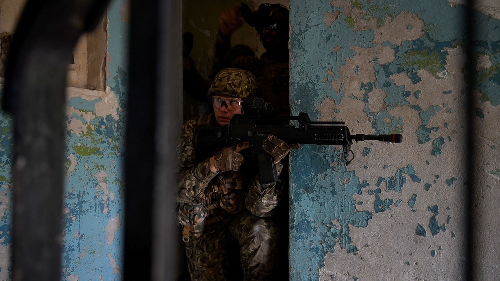 BALTOPS 25 - 2d LAR Marines Execute Force on Force Training