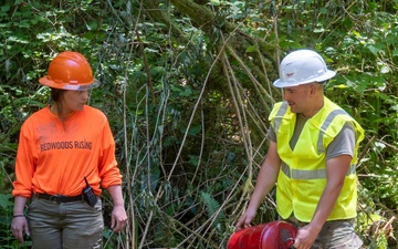 124th CES contribute to Redwoods Rising through IRT