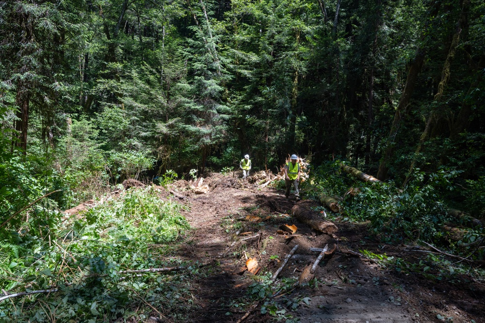124th CES contribute to Redwoods Rising through IRT