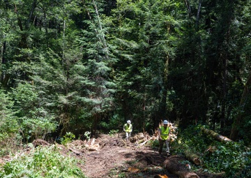 124th CES contribute to Redwoods Rising through IRT